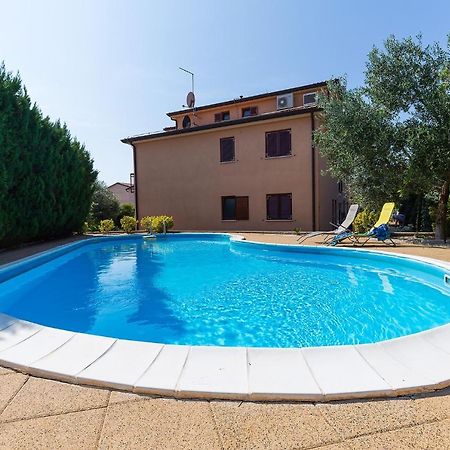 Apartments With A Swimming Pool Novigrad - 7078 Dış mekan fotoğraf