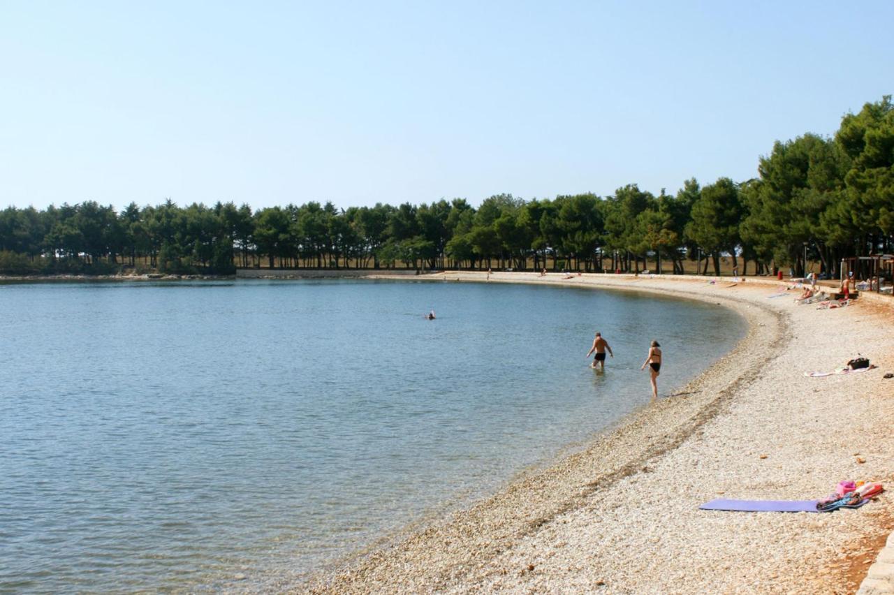 Apartments With A Swimming Pool Novigrad - 7078 Dış mekan fotoğraf