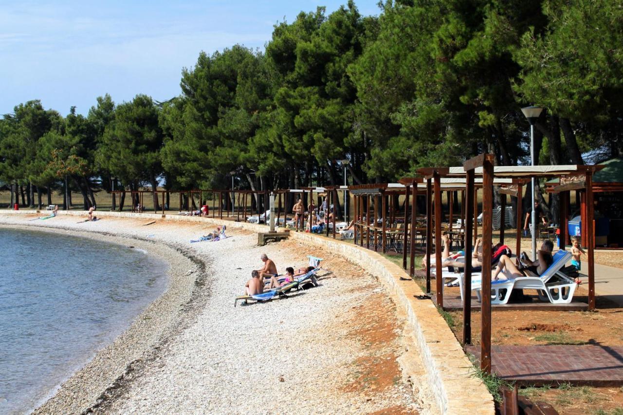 Apartments With A Swimming Pool Novigrad - 7078 Dış mekan fotoğraf